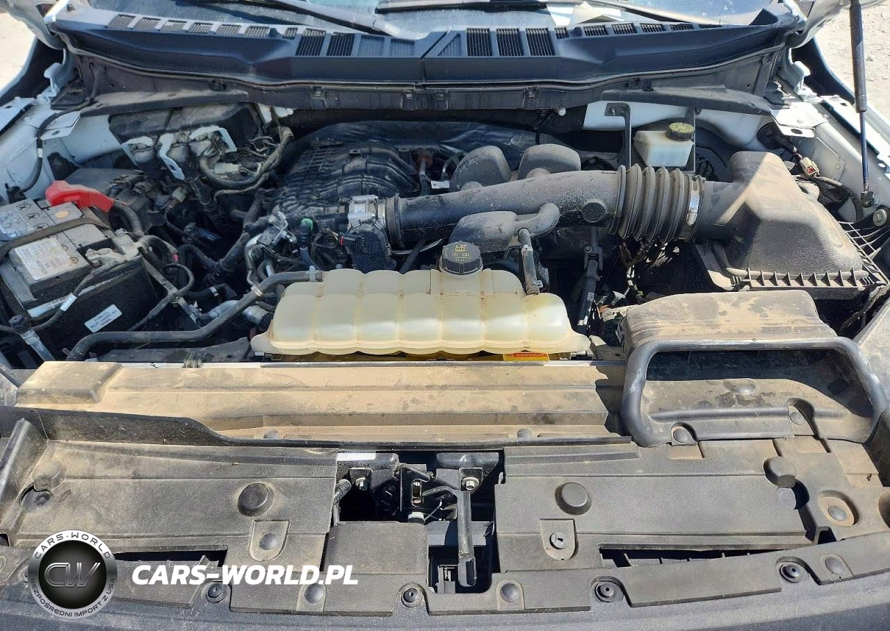 2023 Ford F150 Super Cab VIN:1FTEX1CB8PKE17949 - 11