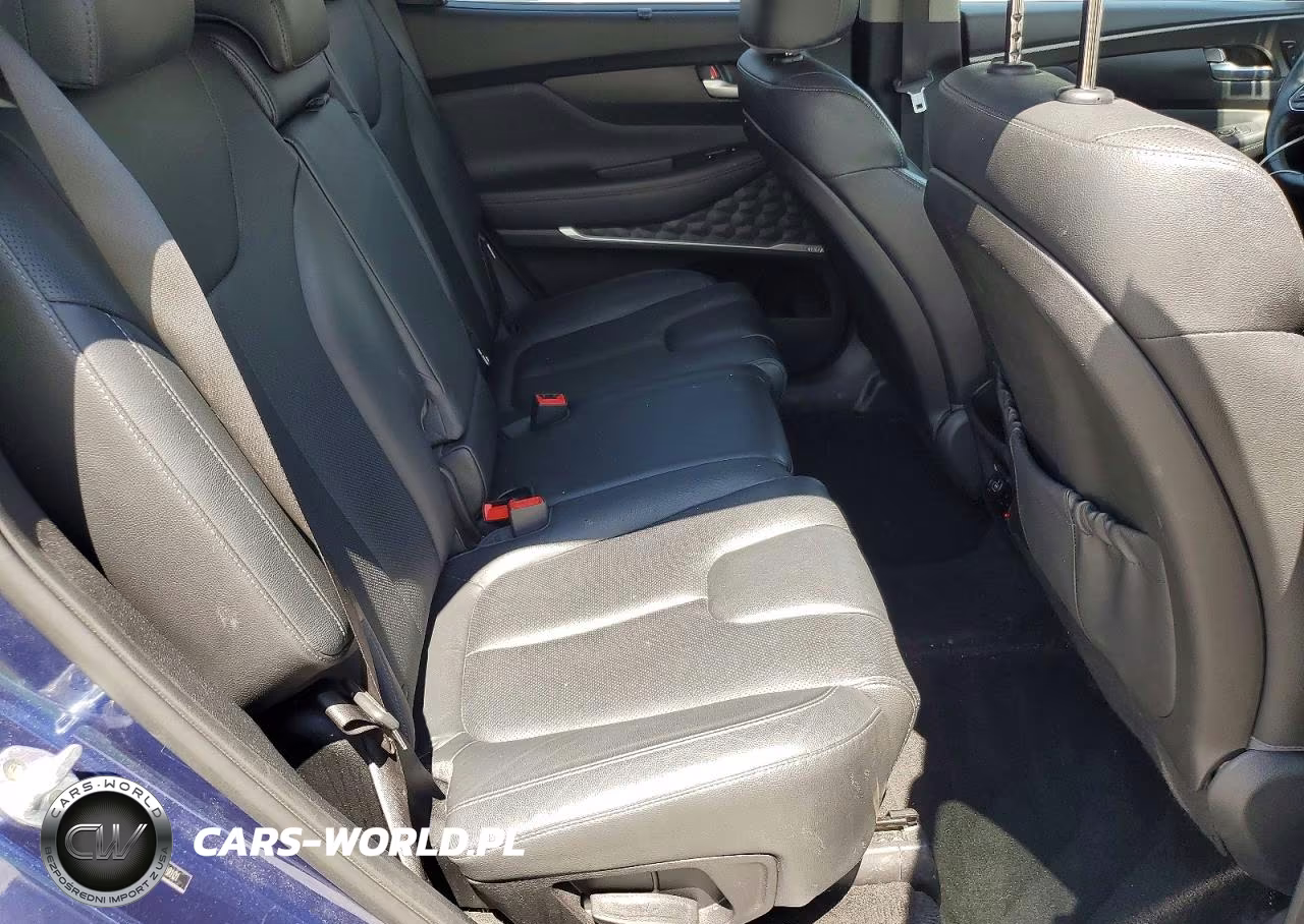 2019 Hyundai Santa Fe Ultimate 2.0T VIN:5NMS5CAAXKH049101 - 10