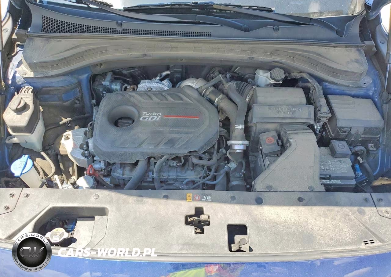 2019 Hyundai Santa Fe Ultimate 2.0T VIN:5NMS5CAAXKH049101 - 11