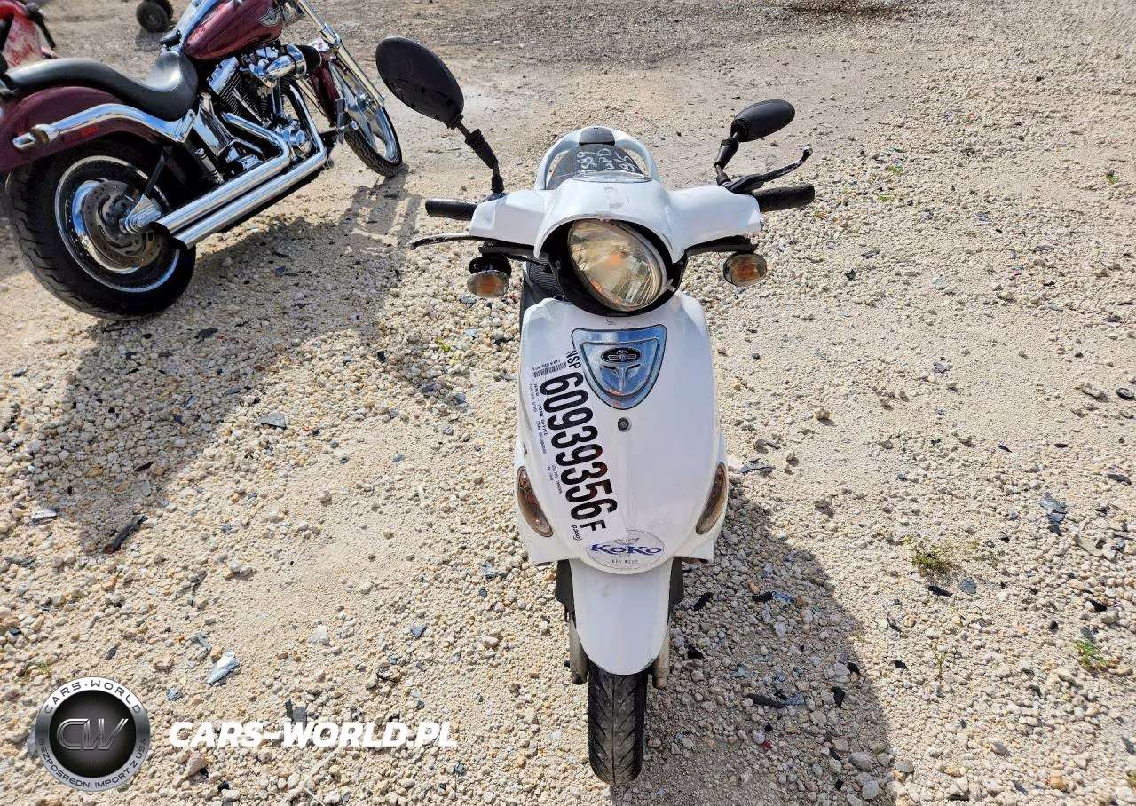2016 Genuine Scooter Co. Buddy 50 VIN:RFVPAP5A8G1119589 - 2
