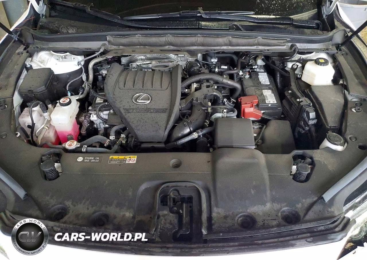 2024 Lexus Rx 350 Premium+ VIN:2T2BAMBA3RC039747 - 11