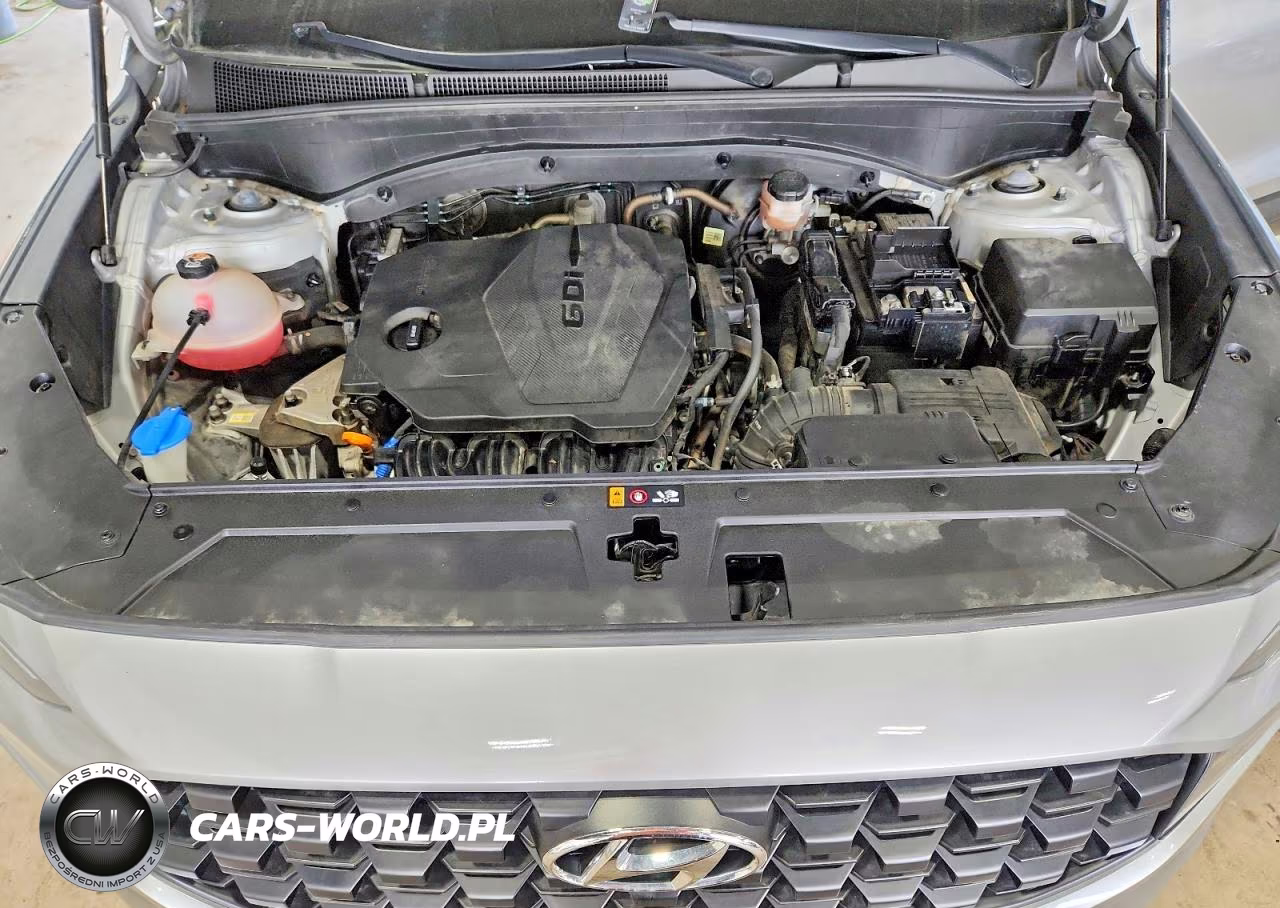 2021 Hyundai Santa Fe VIN:5NMS1DAJ2MH351616 - 12