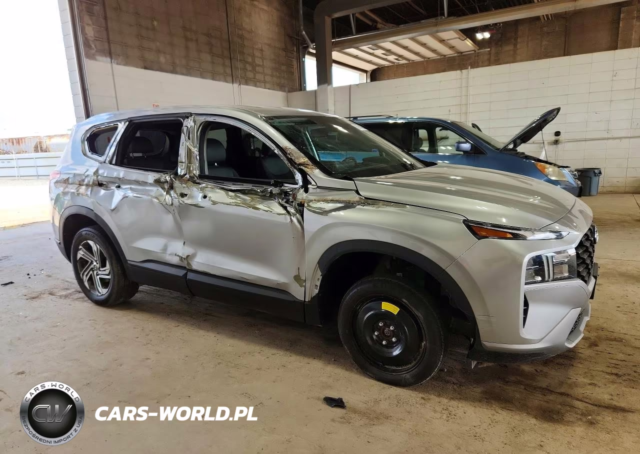 2021 Hyundai Santa Fe VIN:5NMS1DAJ2MH351616 - 4