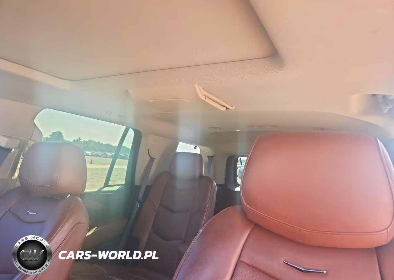 2015 Cadillac Escalade Premium VIN:1GYS4NKJ1FR556297 - 10