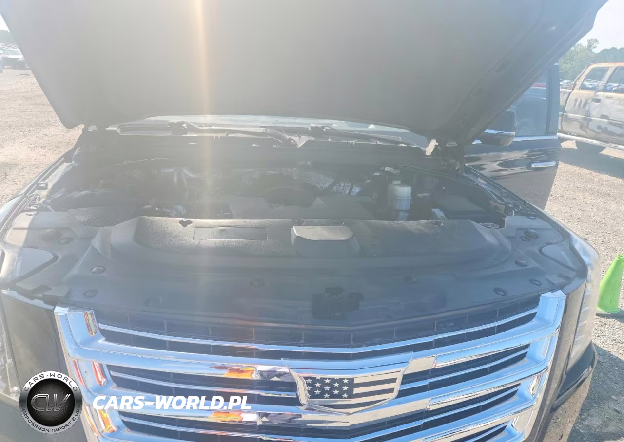 2015 Cadillac Escalade Premium VIN:1GYS4NKJ1FR556297 - 12