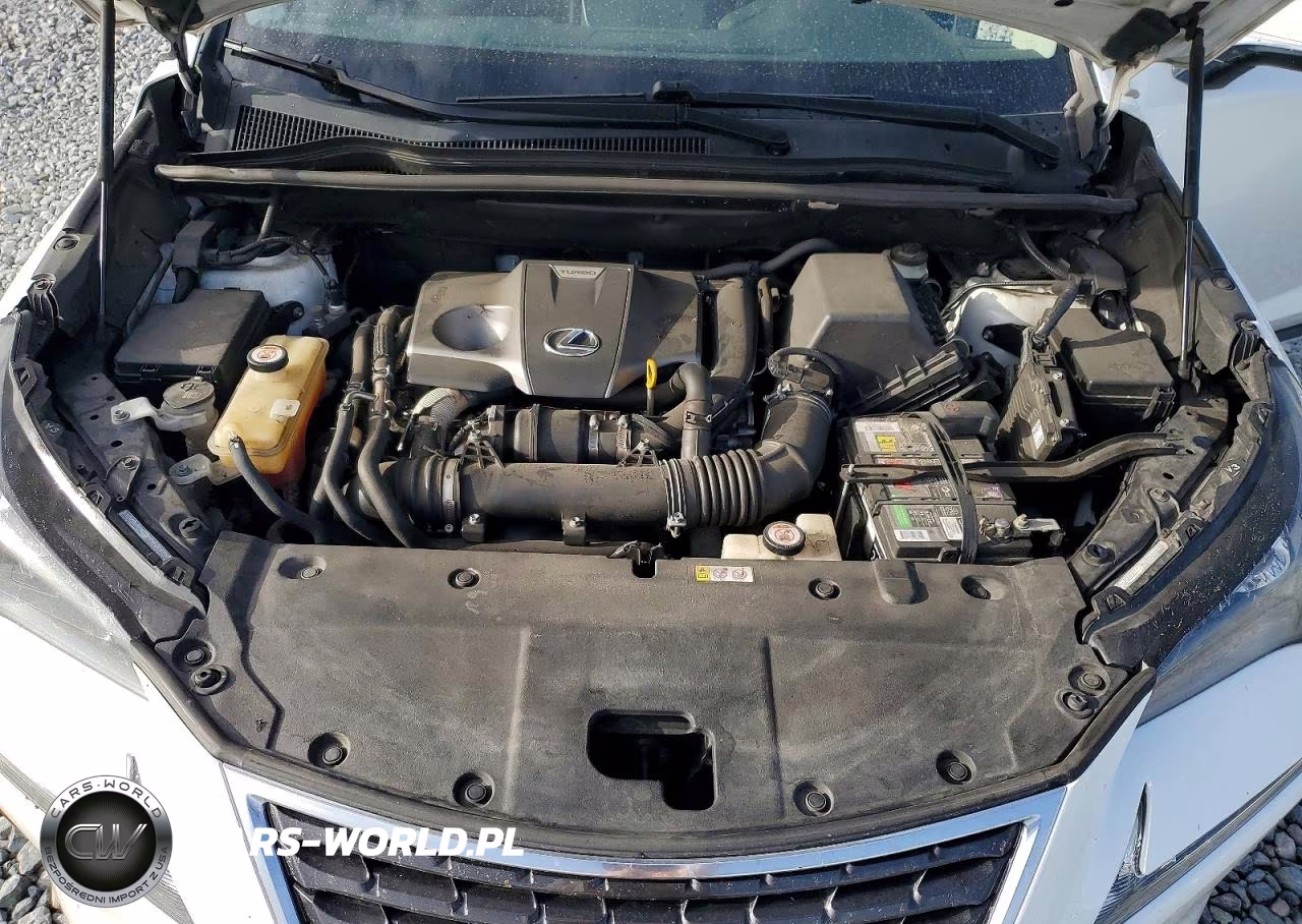 2020 Lexus Nx 300 VIN:JTJDARBZ7L5001472 - 12