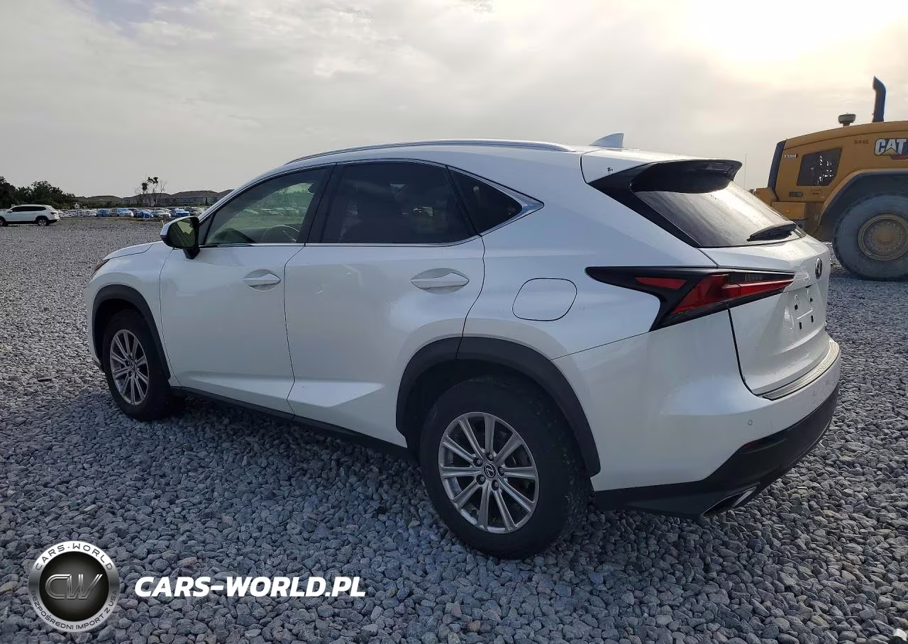 2020 Lexus Nx 300 VIN:JTJDARBZ7L5001472 - 2