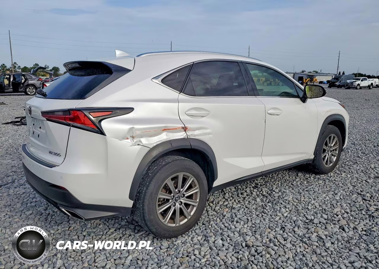 2020 Lexus Nx 300 VIN:JTJDARBZ7L5001472 - 3