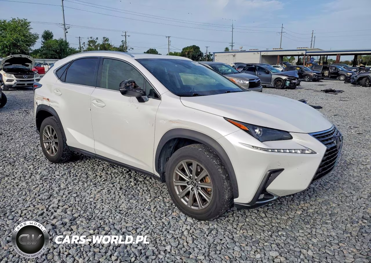 2020 Lexus Nx 300 VIN:JTJDARBZ7L5001472 - 4