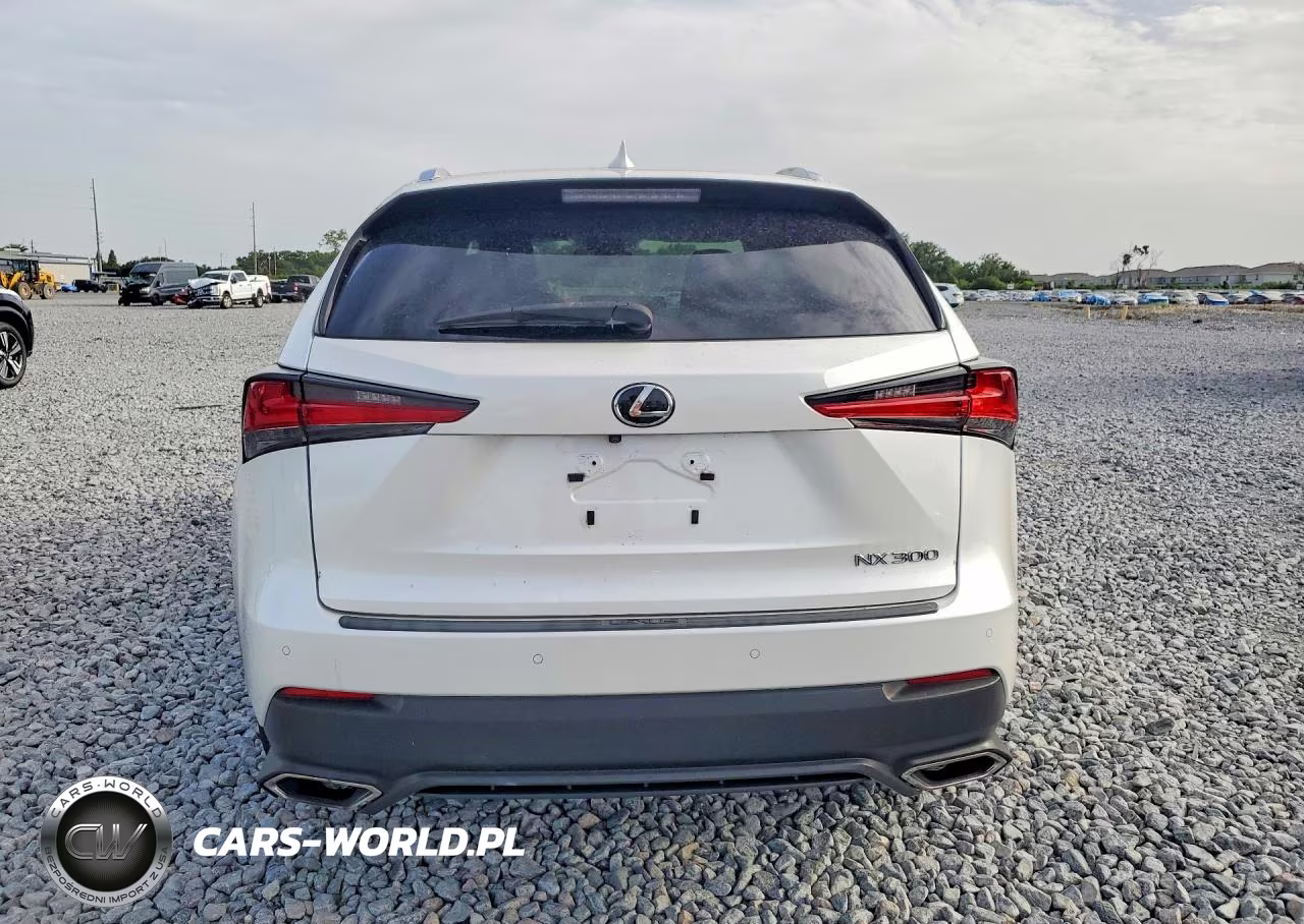 2020 Lexus Nx 300 VIN:JTJDARBZ7L5001472 - 6