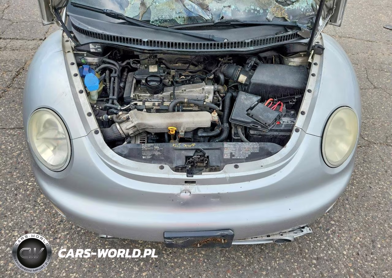 2001 Volkswagen New Beetle Glx VIN:3VWDC21C41M402757 - 11