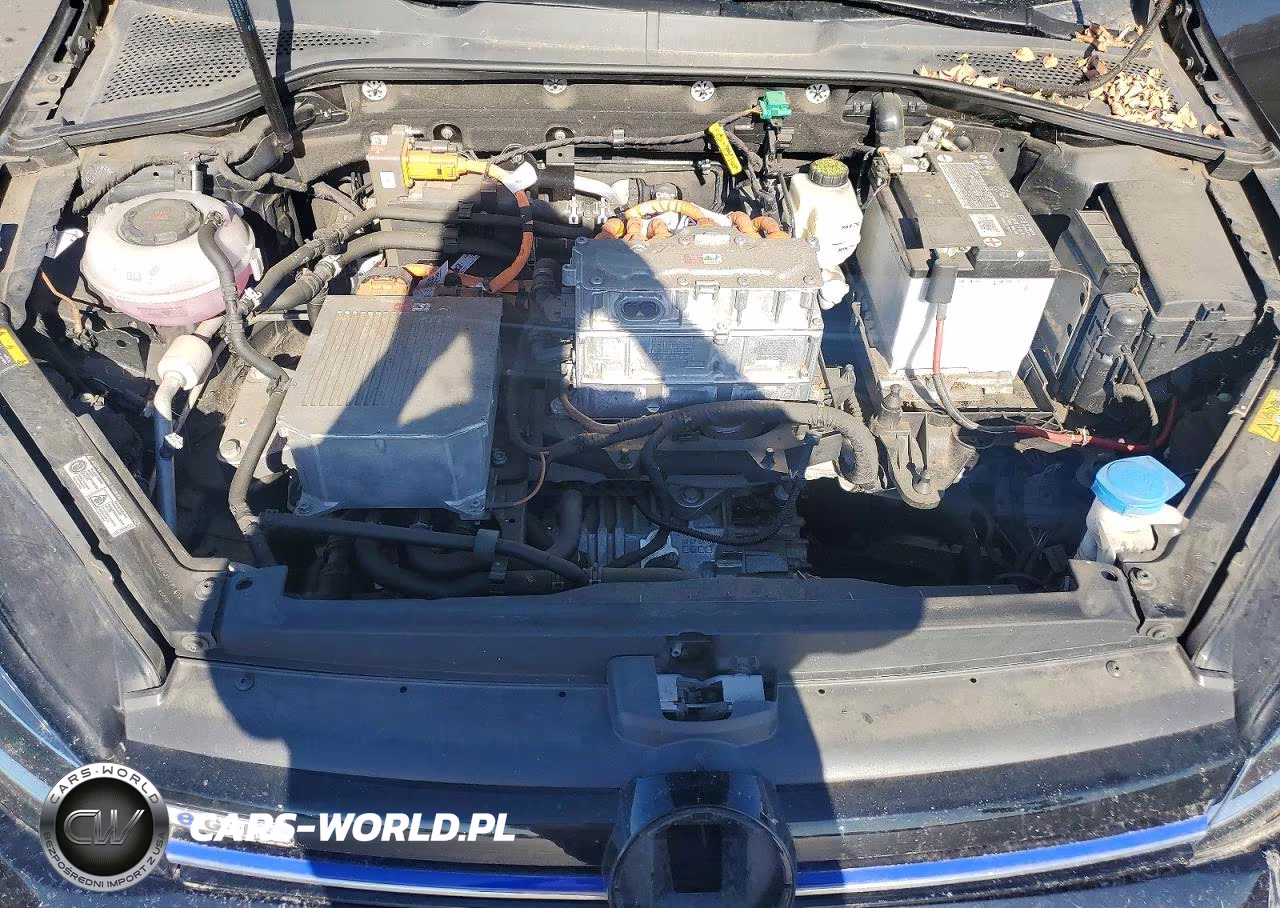 2019 Volkswagen E-Golf Se VIN:WVWKR7AU1KW916436 - 11