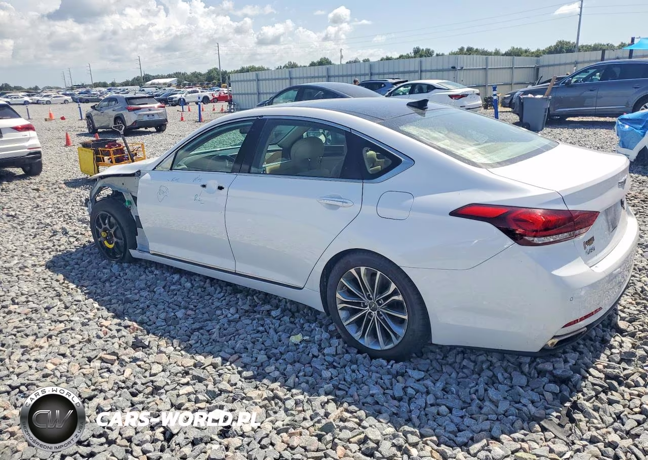 2017 Genesis G80 3.8 VIN:KMHGN4JE0HU195373 - 2