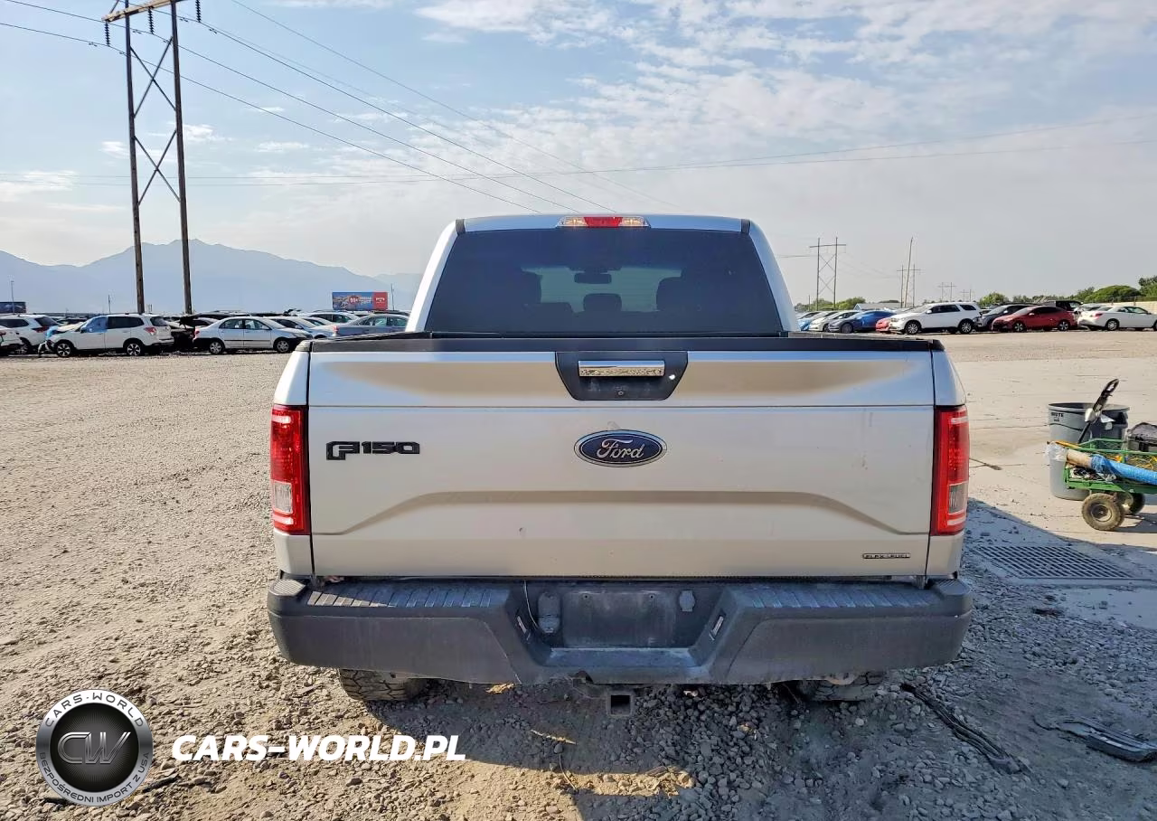 2016 Ford F150 Supercrew VIN:1FTEW1EF8GFA03369 - 6