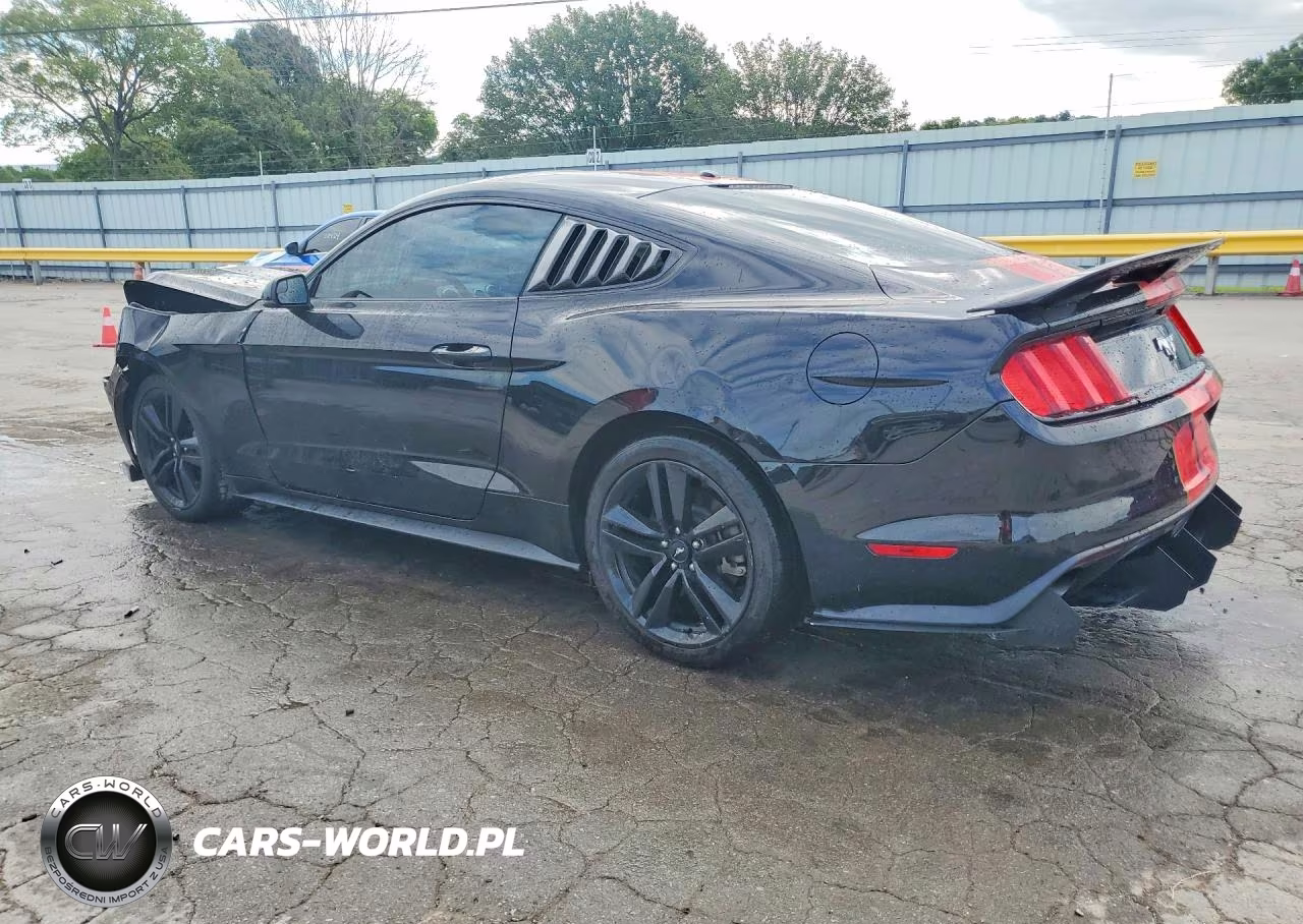 FORD MUSTANG VIN:1FA6P8TH8G5218132 - 2