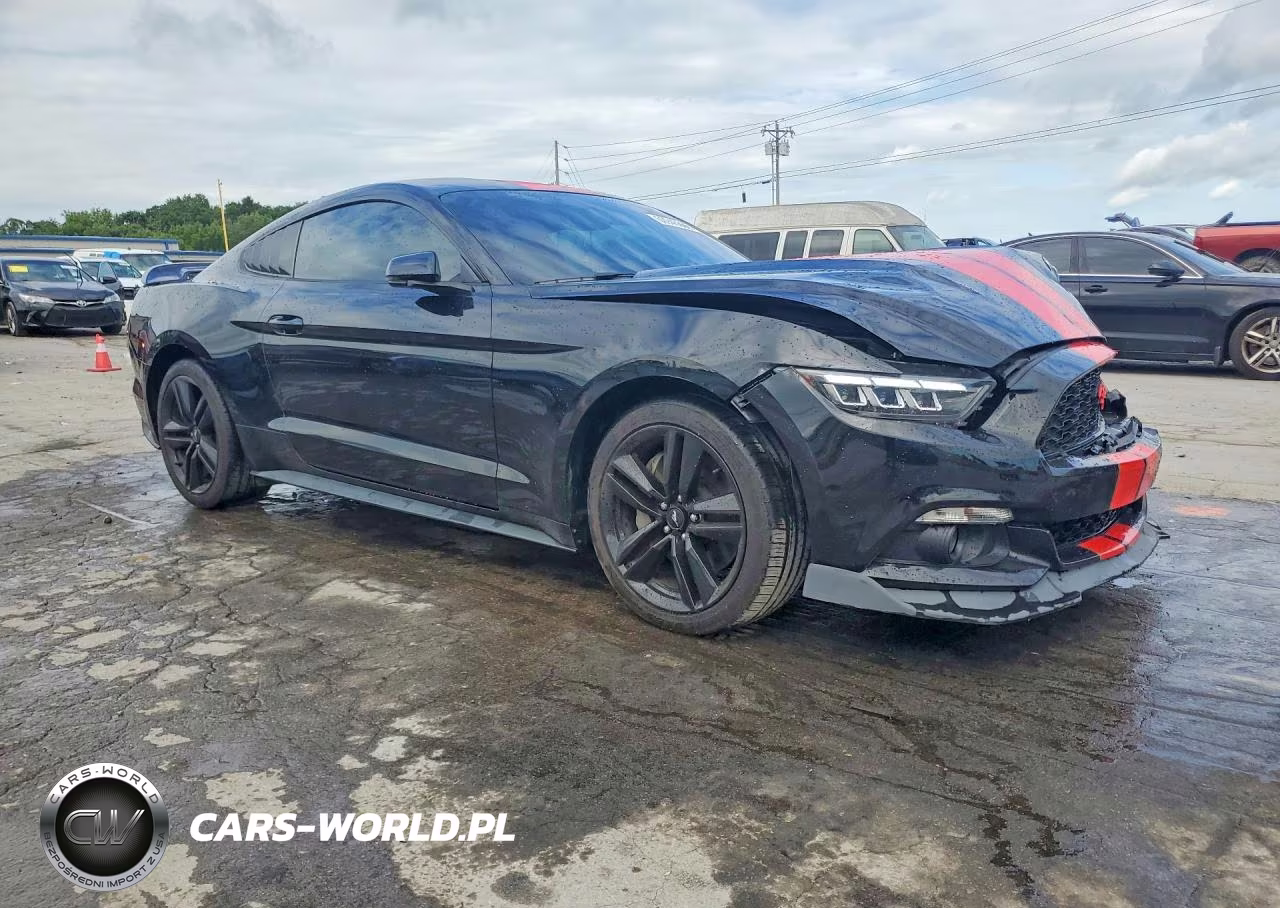 FORD MUSTANG VIN:1FA6P8TH8G5218132 - 4