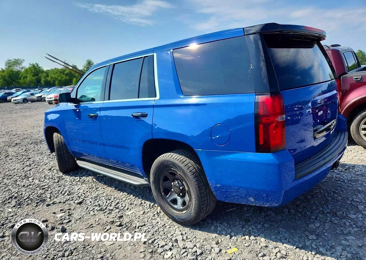 2019 Chevrolet Tahoe Police VIN:1GNSKDEC2KR401388 - 2