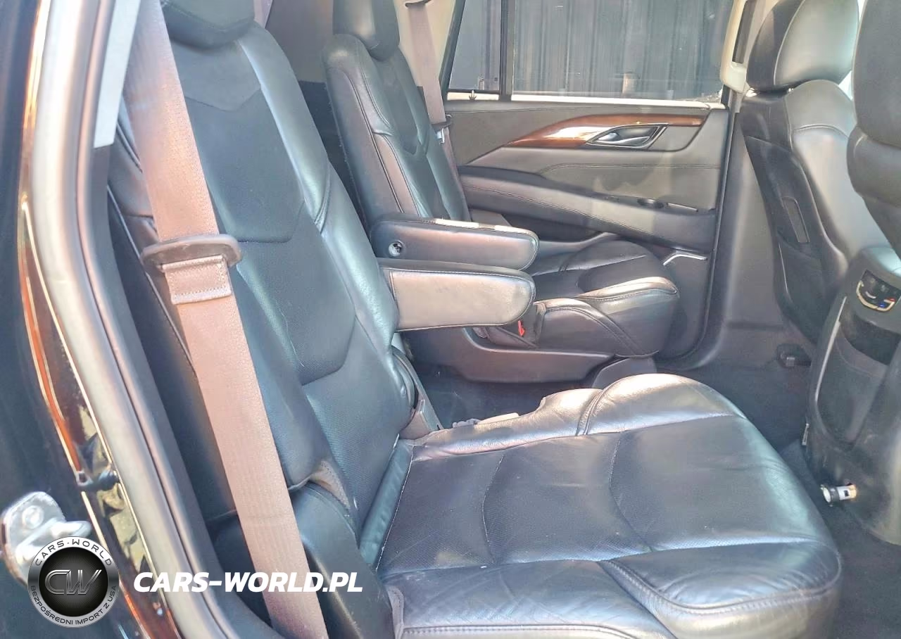 2017 Cadillac Escalade Luxury VIN:1GYS4BKJ9HR123795 - 10
