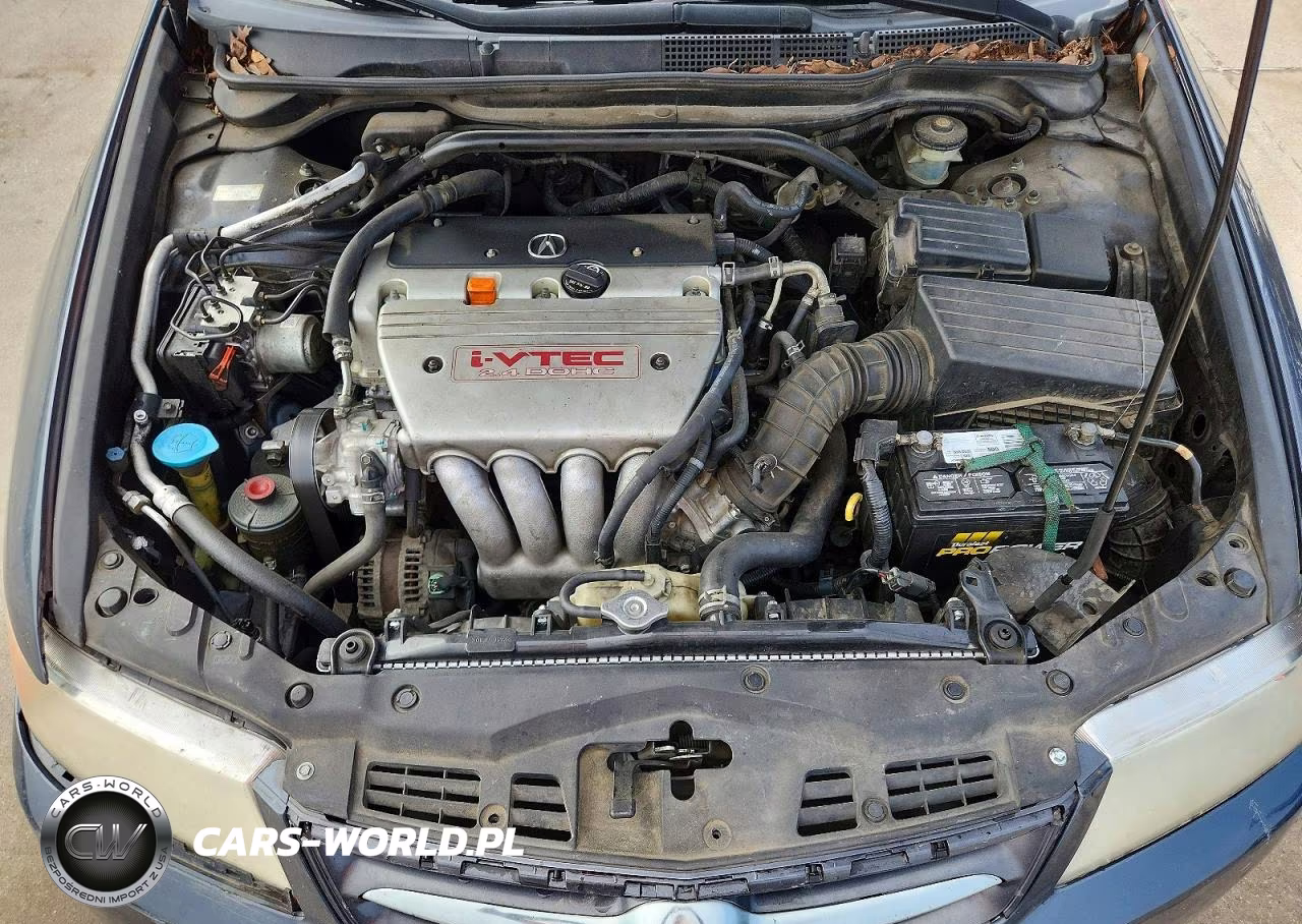 2006 Acura Tsx VIN:JH4CL96976C019391 - 11