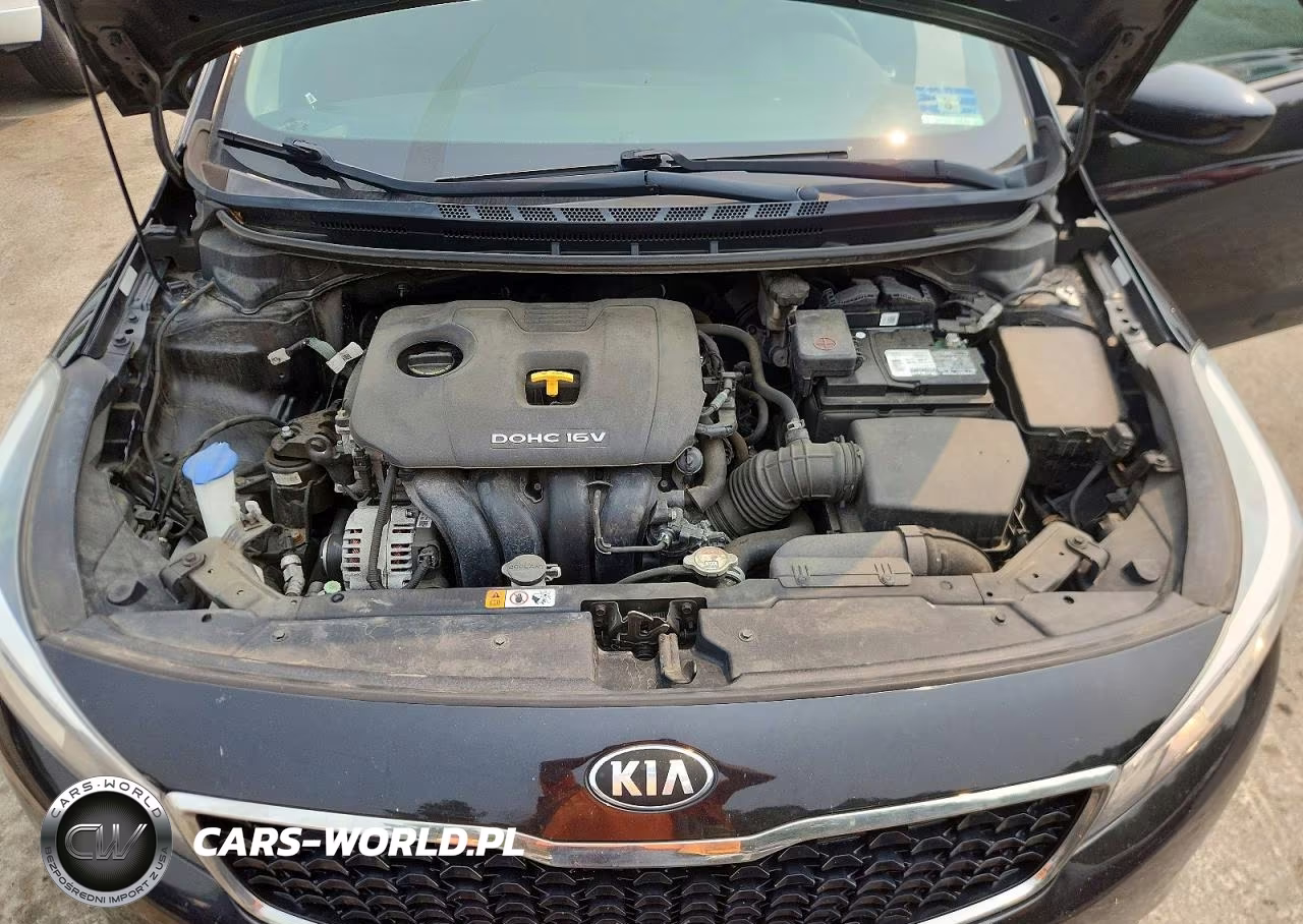 2018 Kia Forte Lx VIN:3KPFL4A70JE248794 - 11