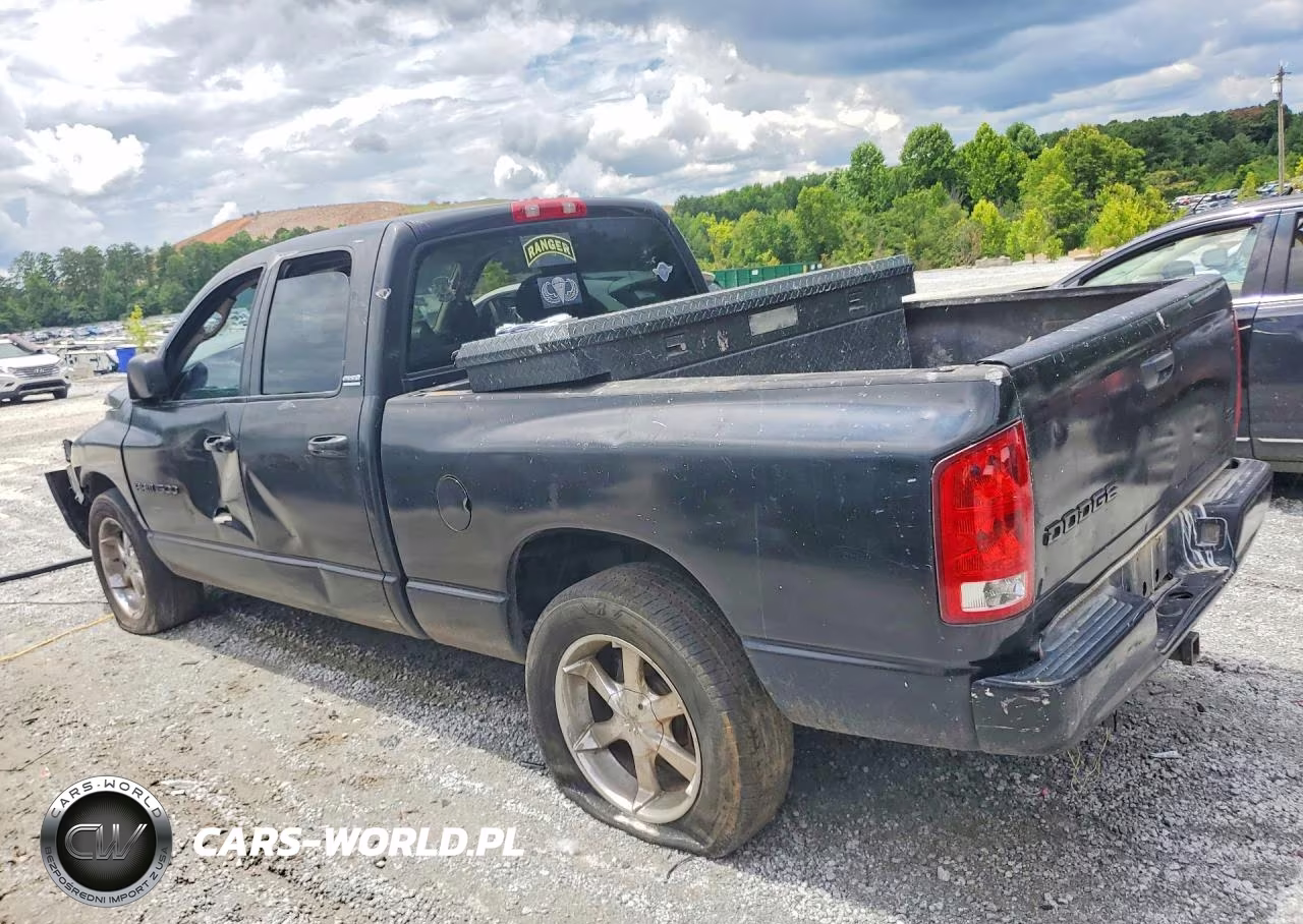2002 Dodge Ram 1500 VIN:1D7HA18N02J193078 - 2