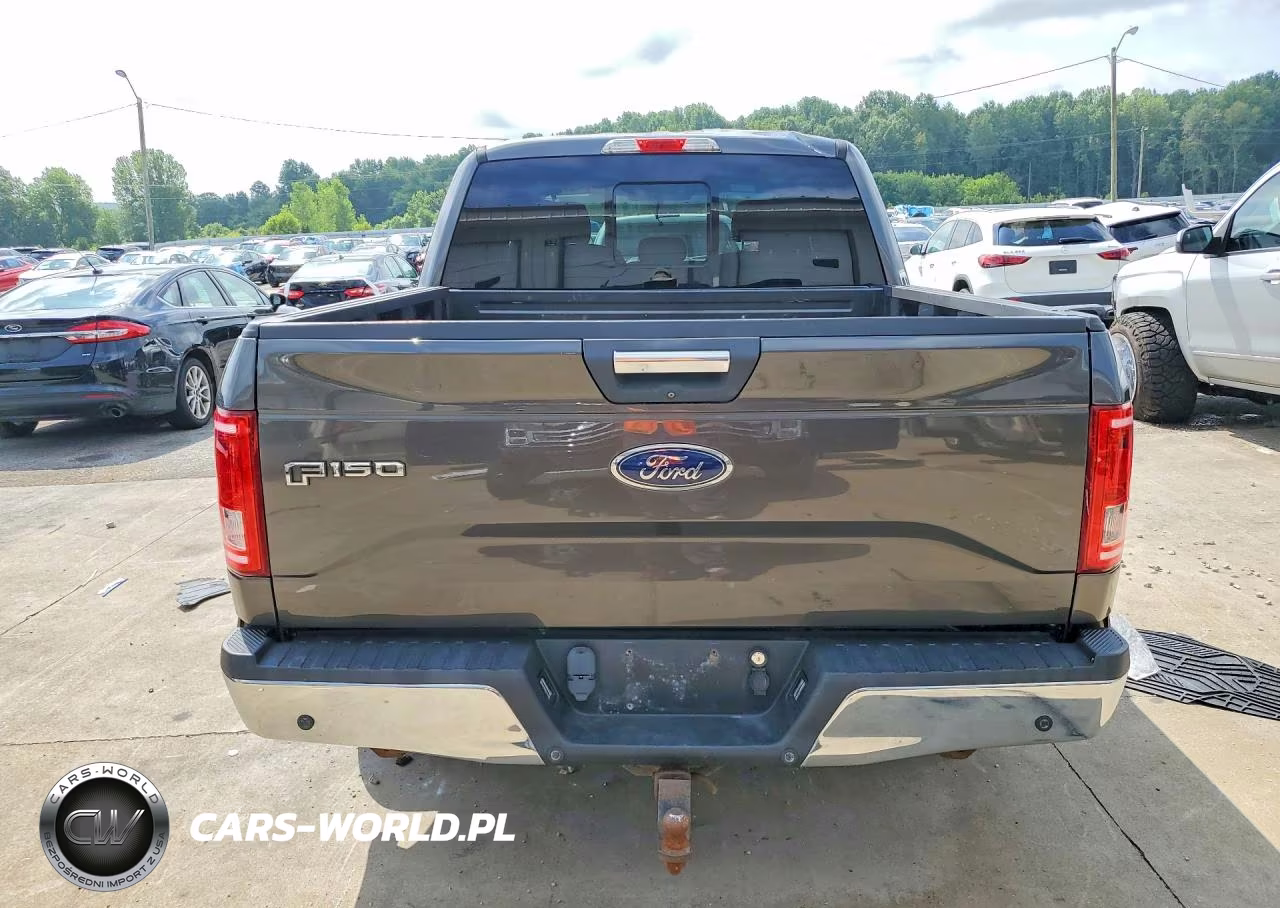 2015 Ford F150 Supercrew VIN:1FTEW1CP2FFC31801 - 6