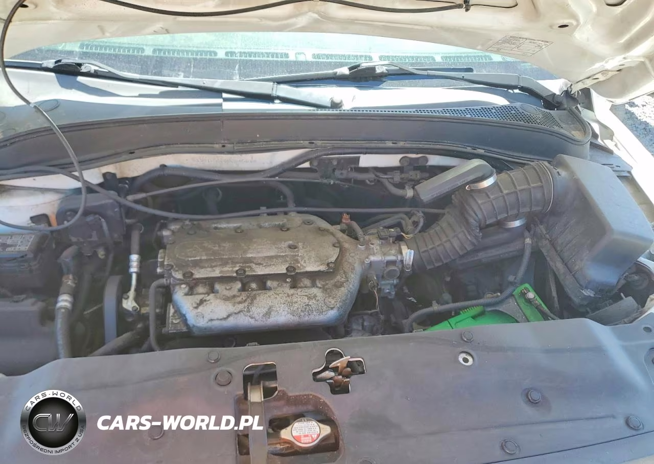 2005 Honda Pilot Exl VIN:5FNYF18655B045069 - 12