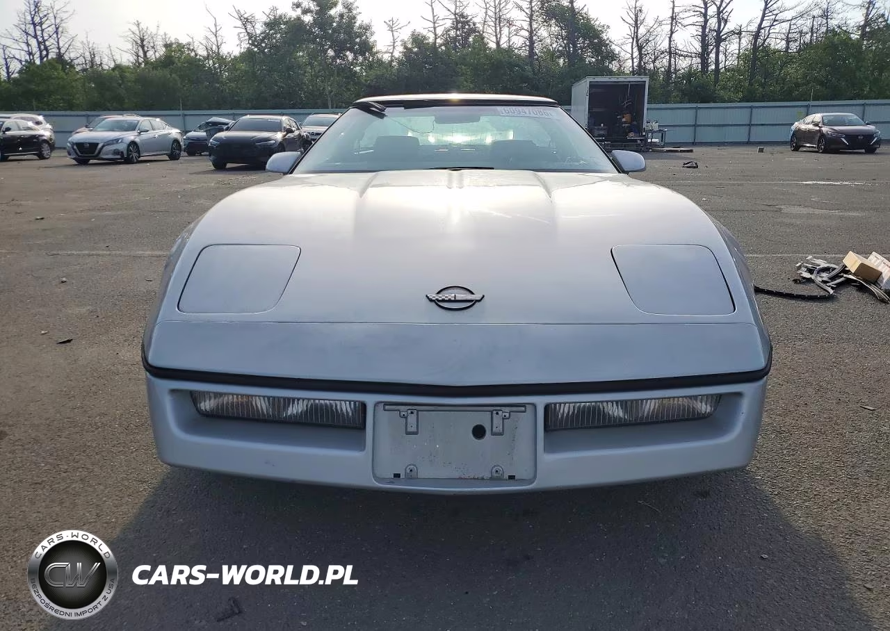1984 Chevrolet Corvette VIN:1G1AY0787E5118770 - 5