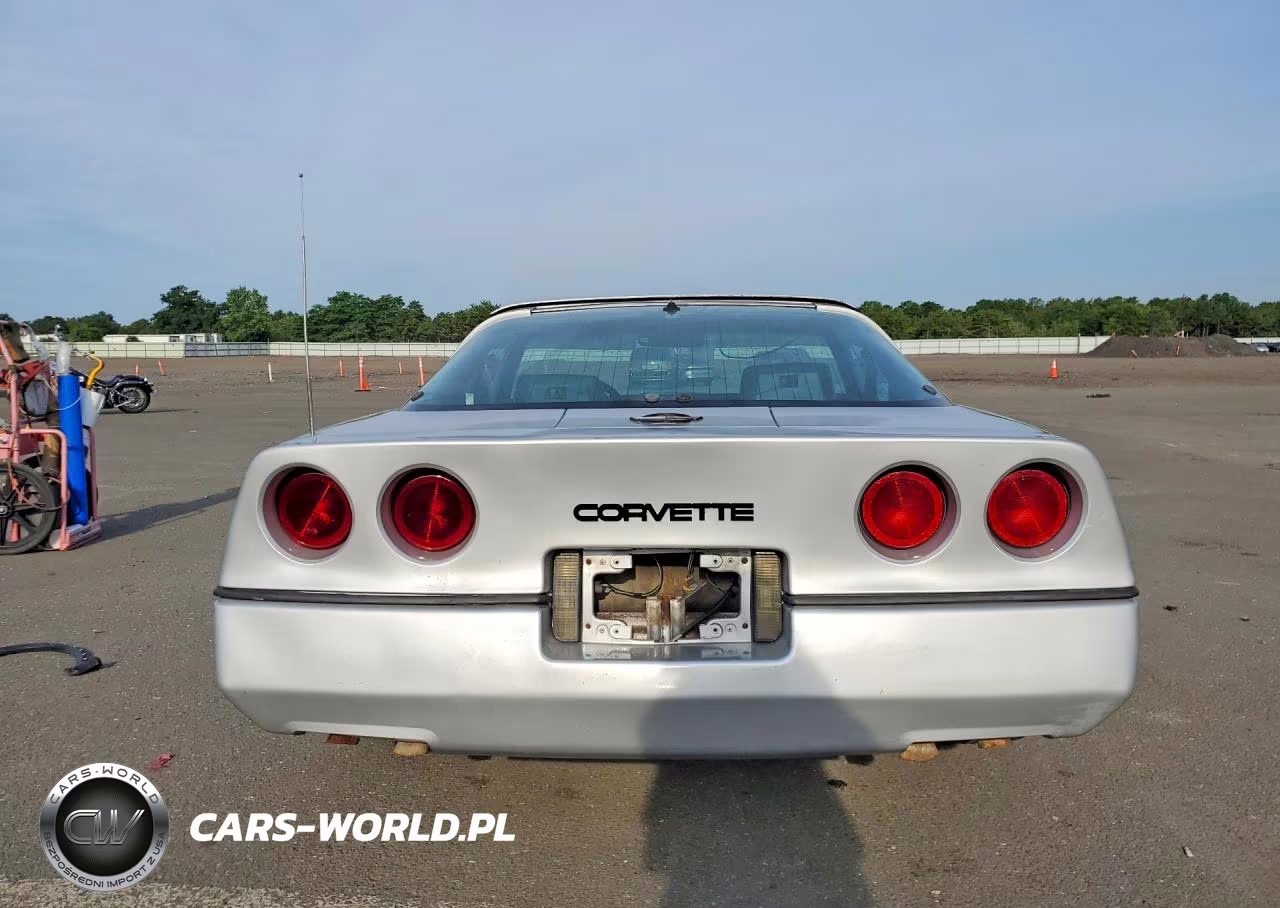 1984 Chevrolet Corvette VIN:1G1AY0787E5118770 - 6