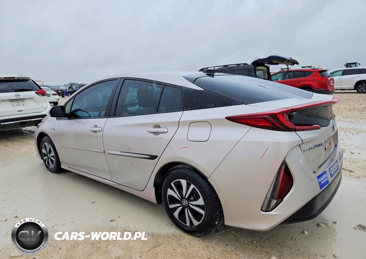 2019 Toyota Prius Prime Premium VIN:JTDKARFP0K3118727 - 2