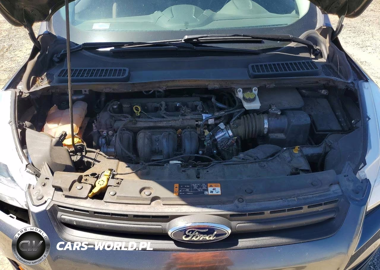 2016 Ford Escape S VIN:1FMCU0F75GUA99662 - 11