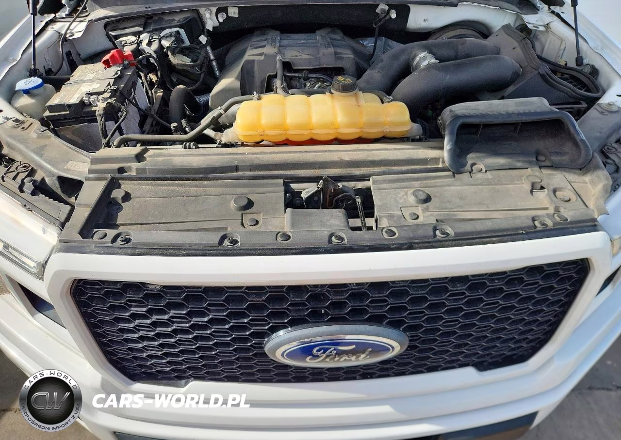 2018 Ford F150 Supercrew VIN:1FTEW1CP1JKD53582 - 11