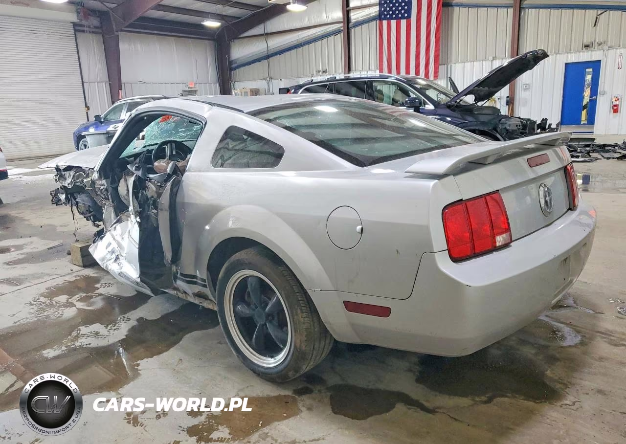 2006 Ford Mustang VIN:1ZVFT80N065164417 - 2