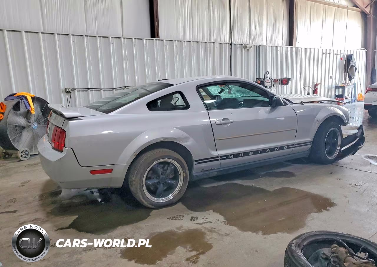 2006 Ford Mustang VIN:1ZVFT80N065164417 - 3