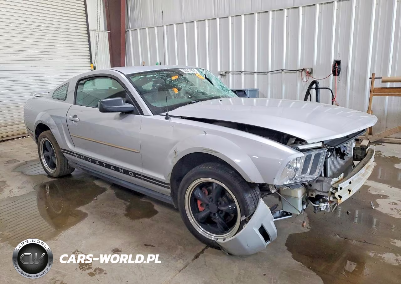 2006 Ford Mustang VIN:1ZVFT80N065164417 - 4