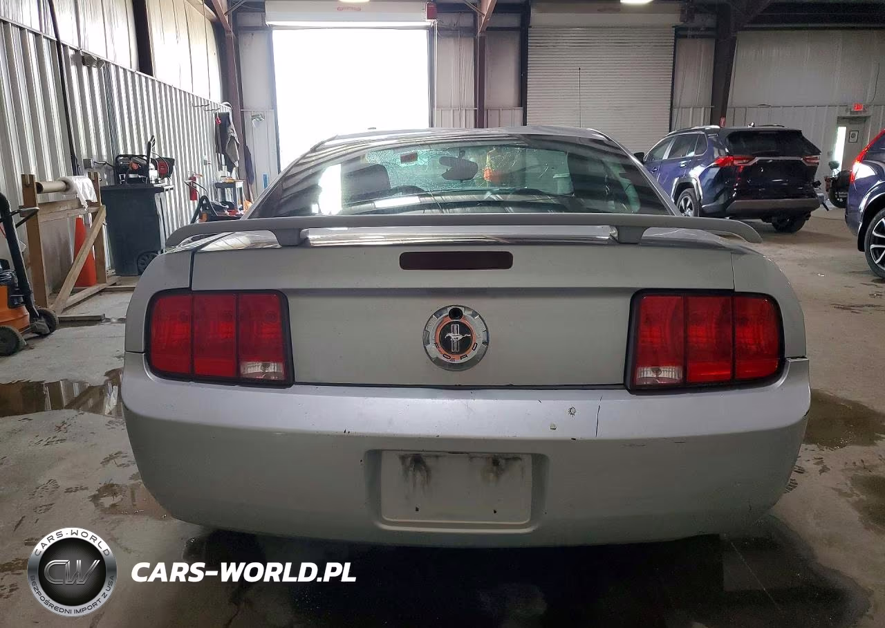 2006 Ford Mustang VIN:1ZVFT80N065164417 - 6