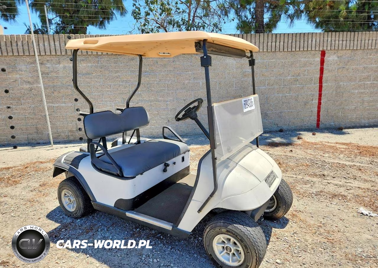 2019 Golf Cart