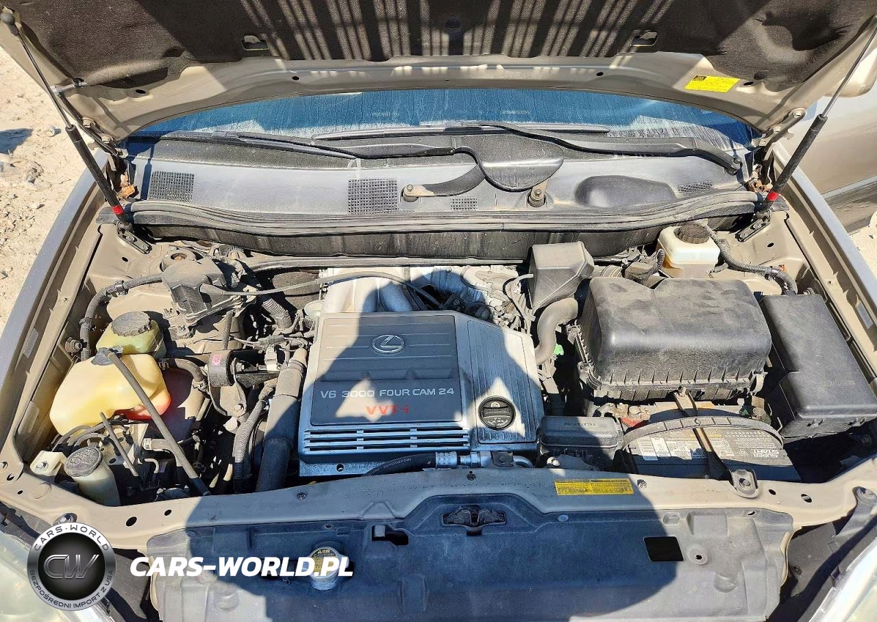 2001 Lexus Rx 300 VIN:JTJGF10U310085811 - 12