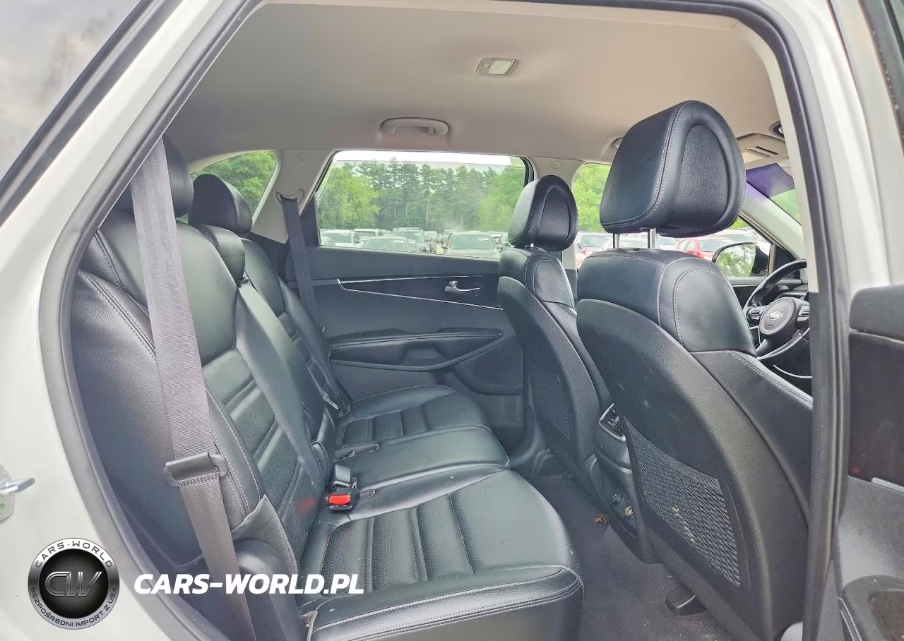 2016 Kia Sorento Ex VIN:5XYPHDA16GG029366 - 11