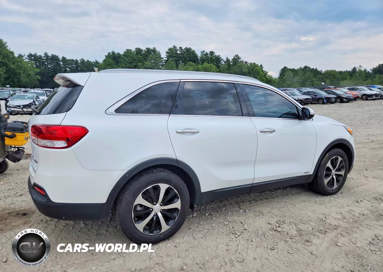 2016 Kia Sorento Ex VIN:5XYPHDA16GG029366 - 3