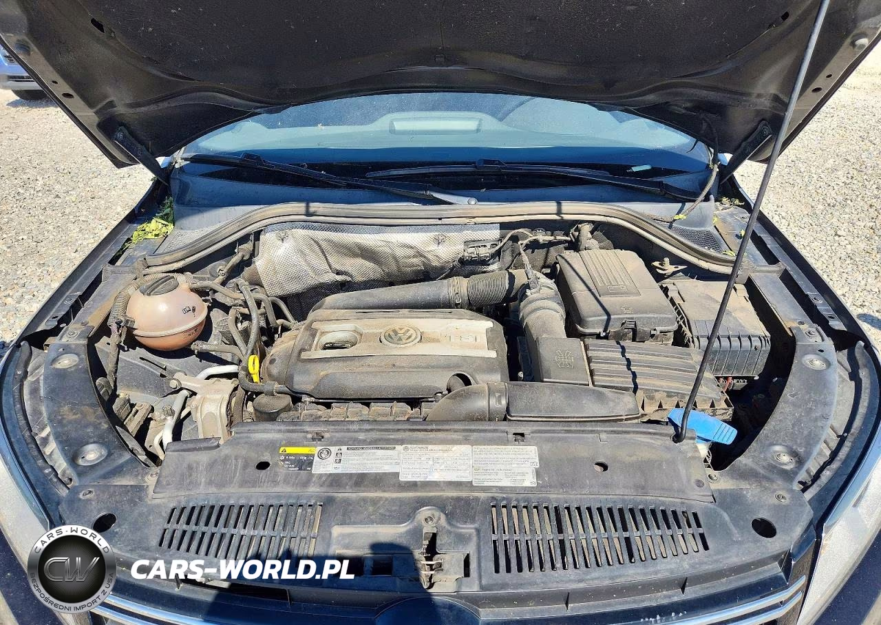 2016 Volkswagen Tiguan S-Se-Sel-R-Line VIN:WVGBV7AX1GW081432 - 12