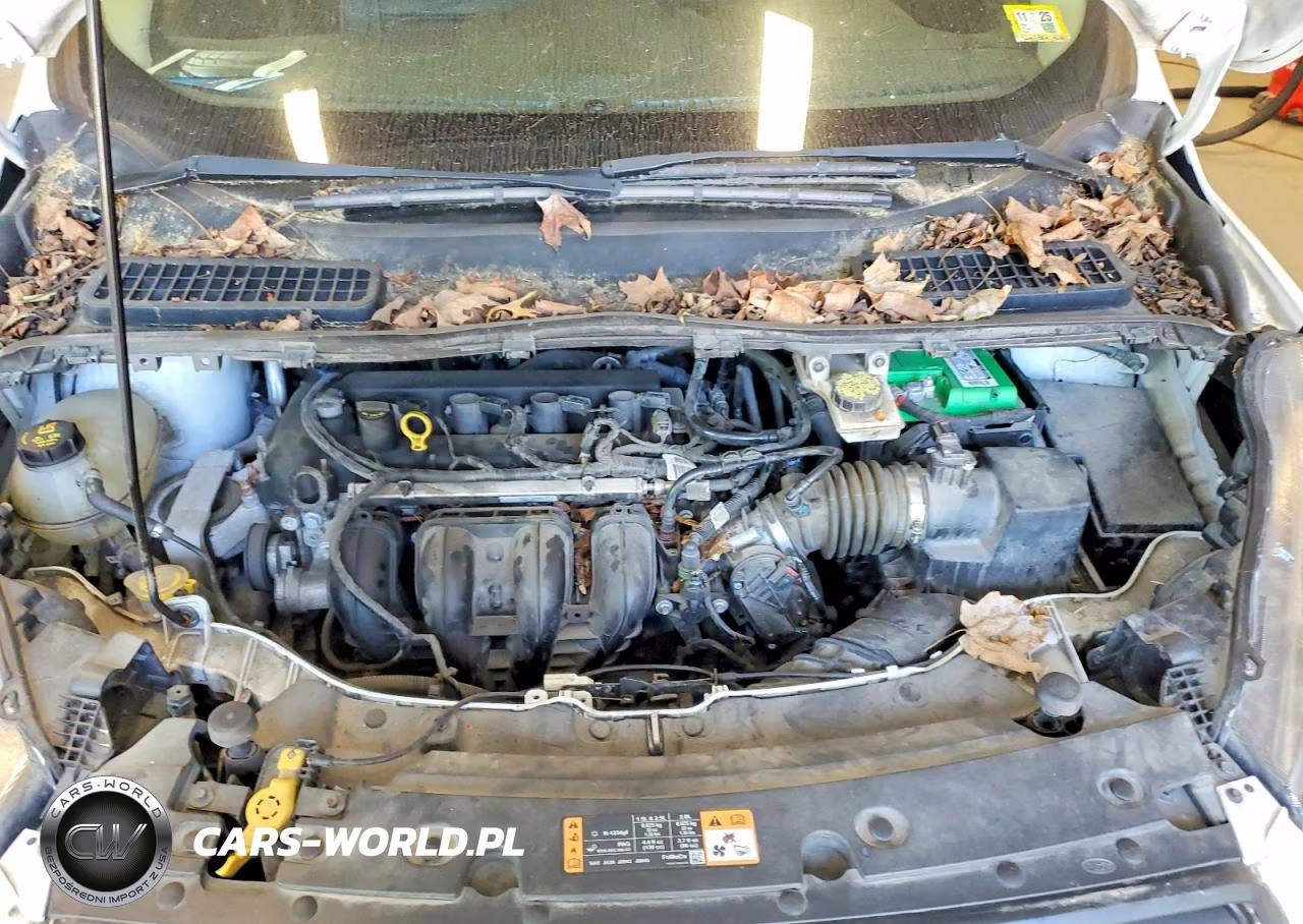 2019 Ford Escape S VIN:1FMCU0F71KUB36439 - 12