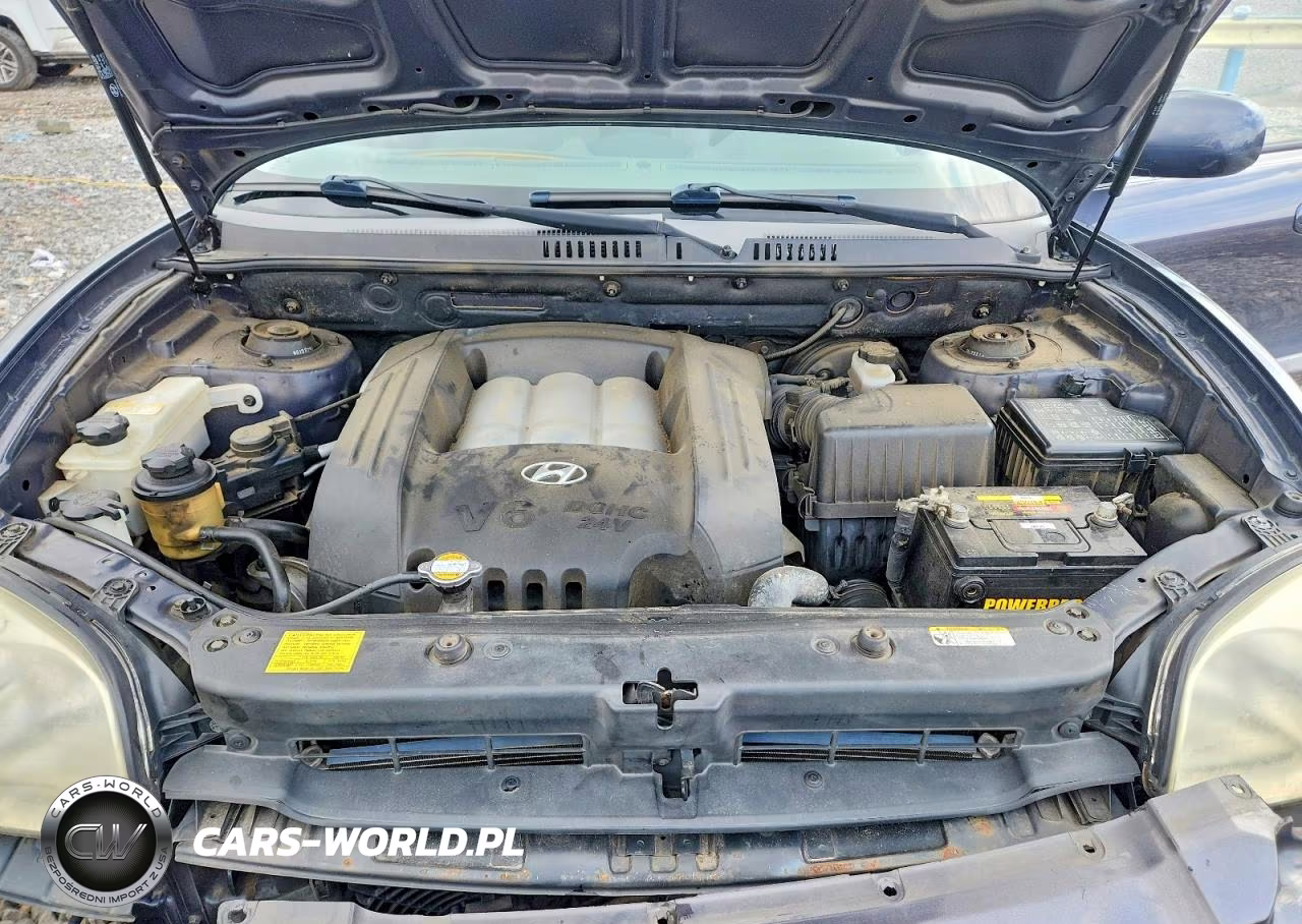 2006 Hyundai Santa Fe Gls VIN:KM8SC13DX6U105131 - 12