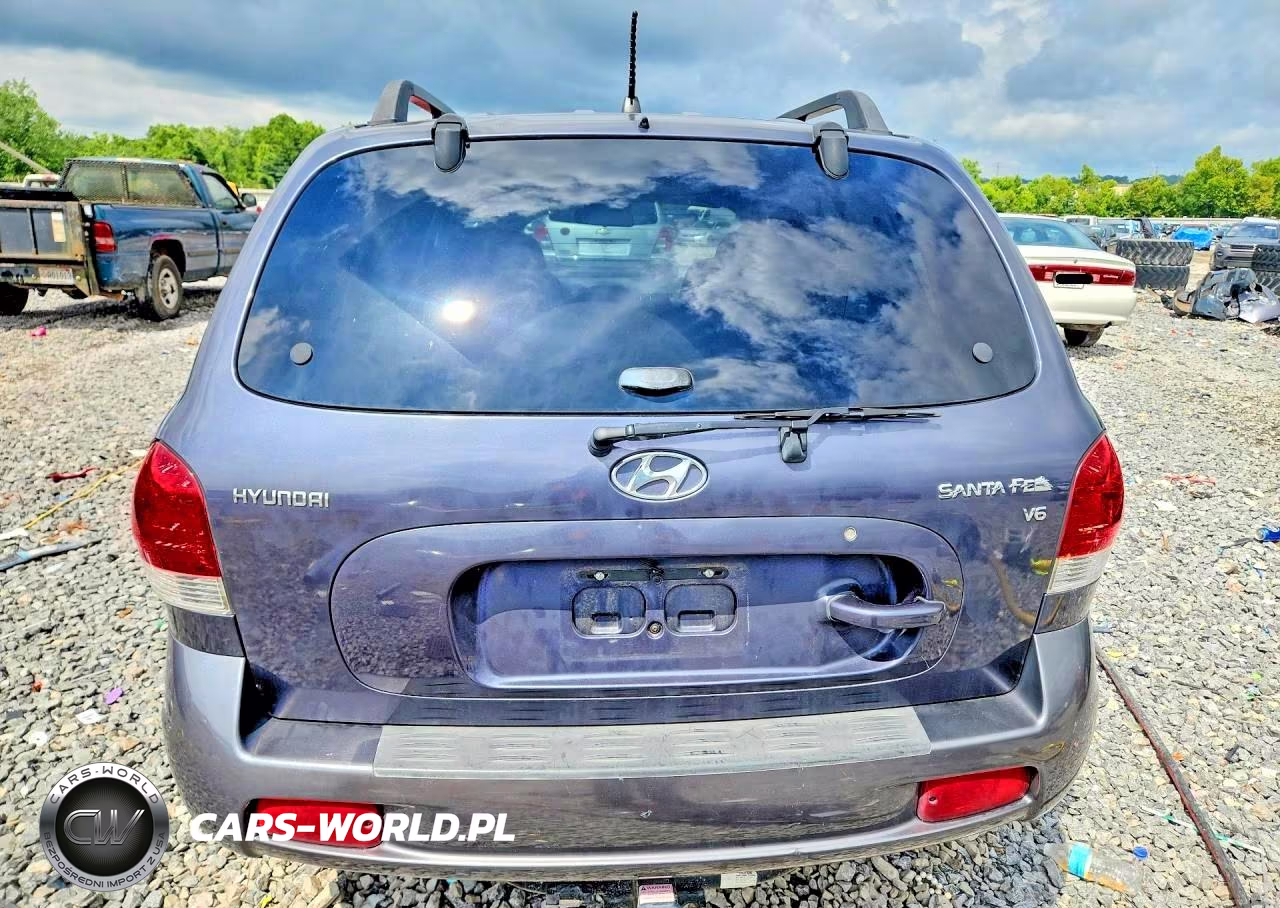 2006 Hyundai Santa Fe Gls VIN:KM8SC13DX6U105131 - 6