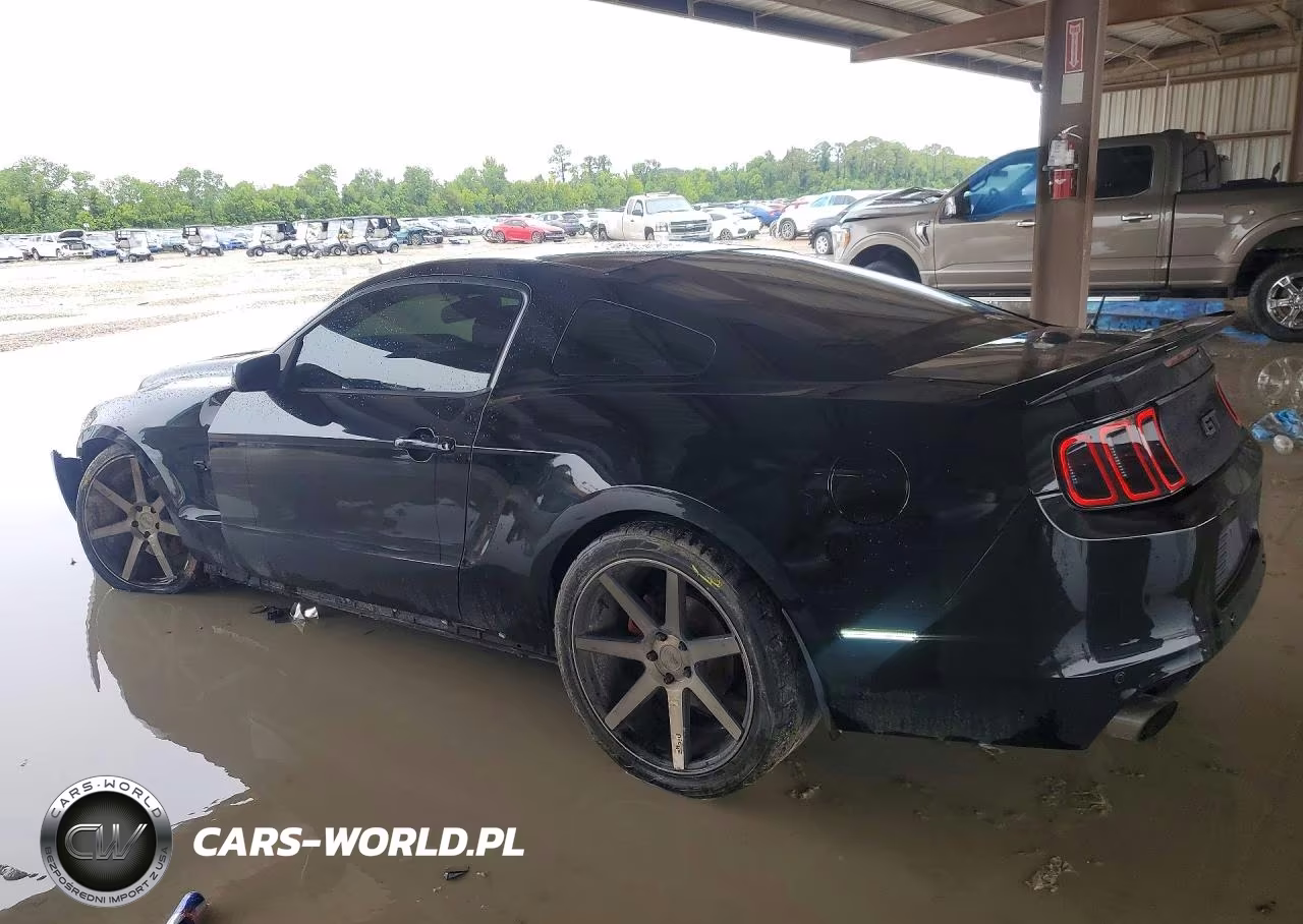 2013 Ford Mustang Gt VIN:1ZVBP8CF2D5261901 - 2
