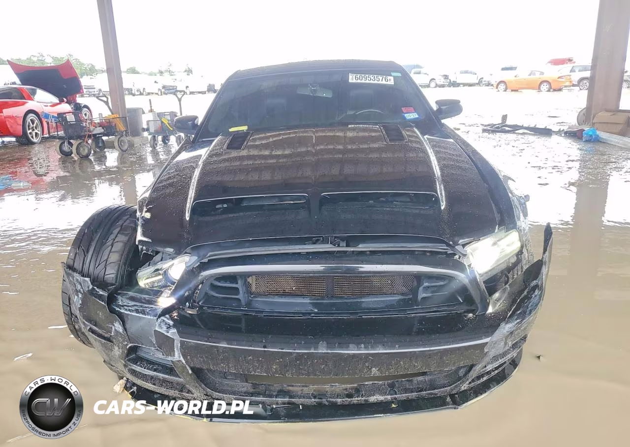 2013 Ford Mustang Gt VIN:1ZVBP8CF2D5261901 - 5