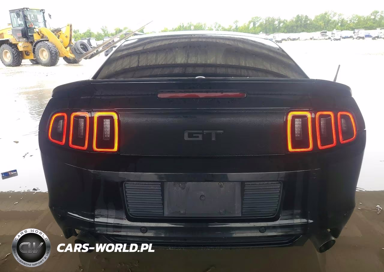 2013 Ford Mustang Gt VIN:1ZVBP8CF2D5261901 - 6