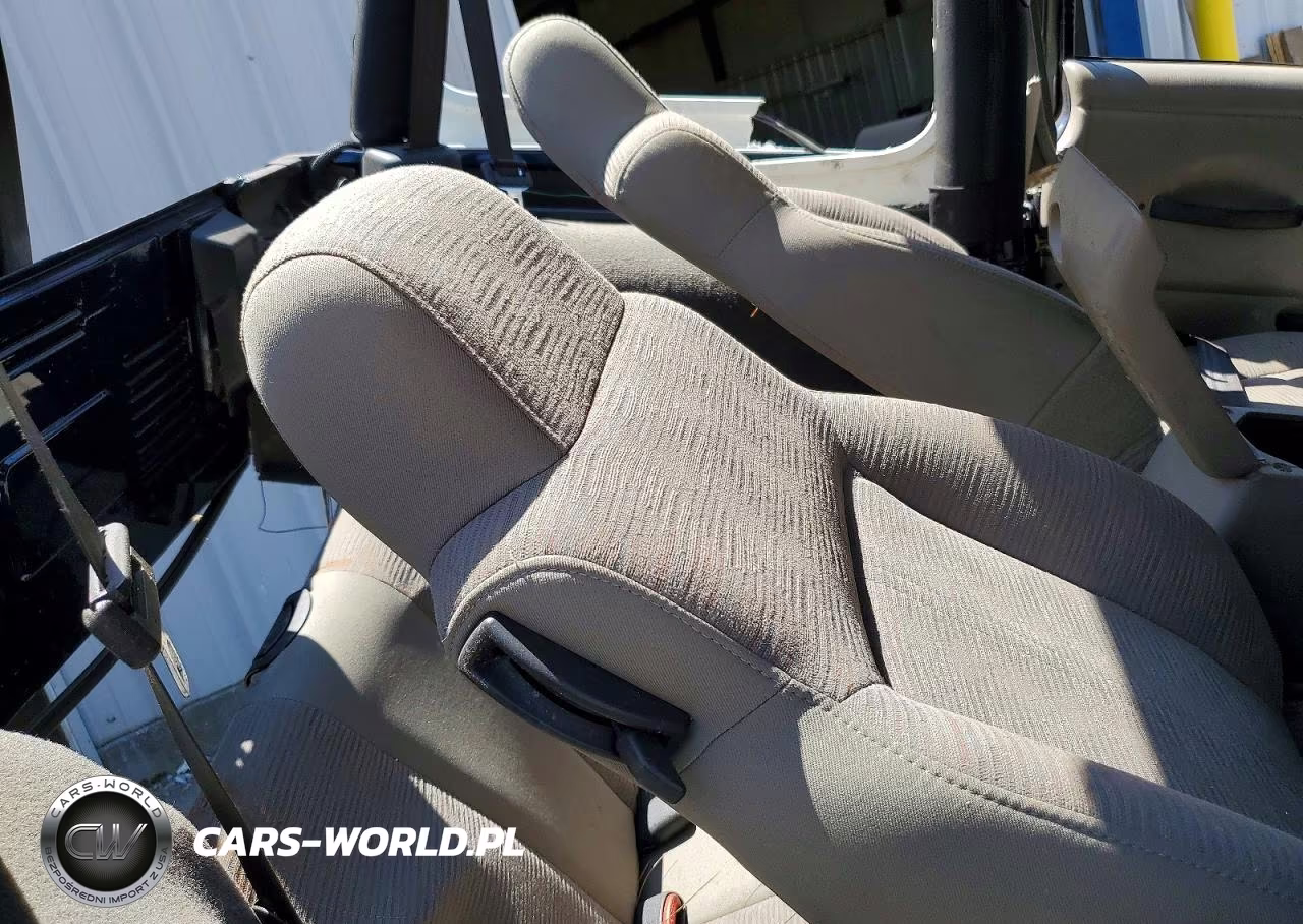 2003 Jeep Wrangler Commando VIN:1J4FA39S63P319132 - 10