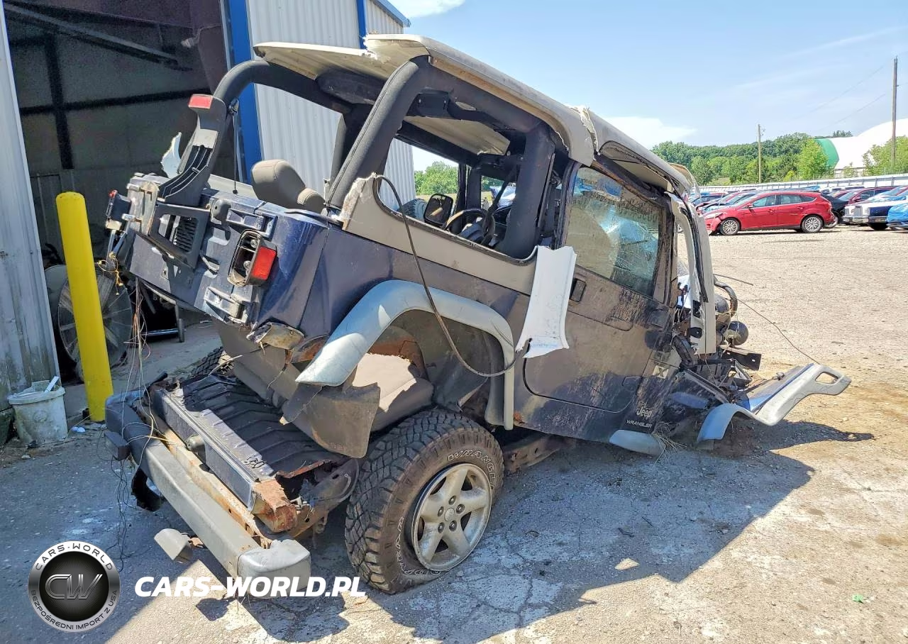 2003 Jeep Wrangler Commando VIN:1J4FA39S63P319132 - 3
