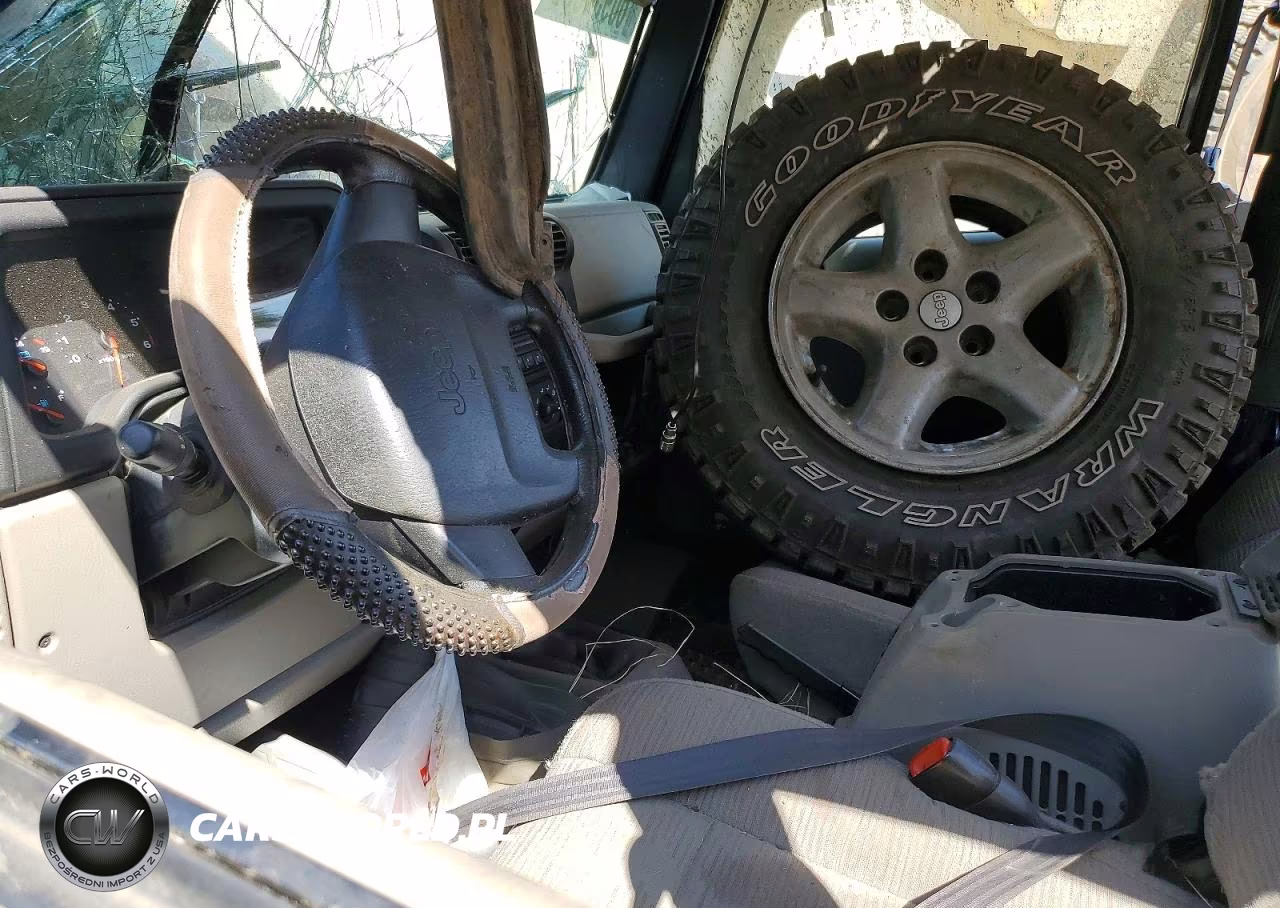2003 Jeep Wrangler Commando VIN:1J4FA39S63P319132 - 8